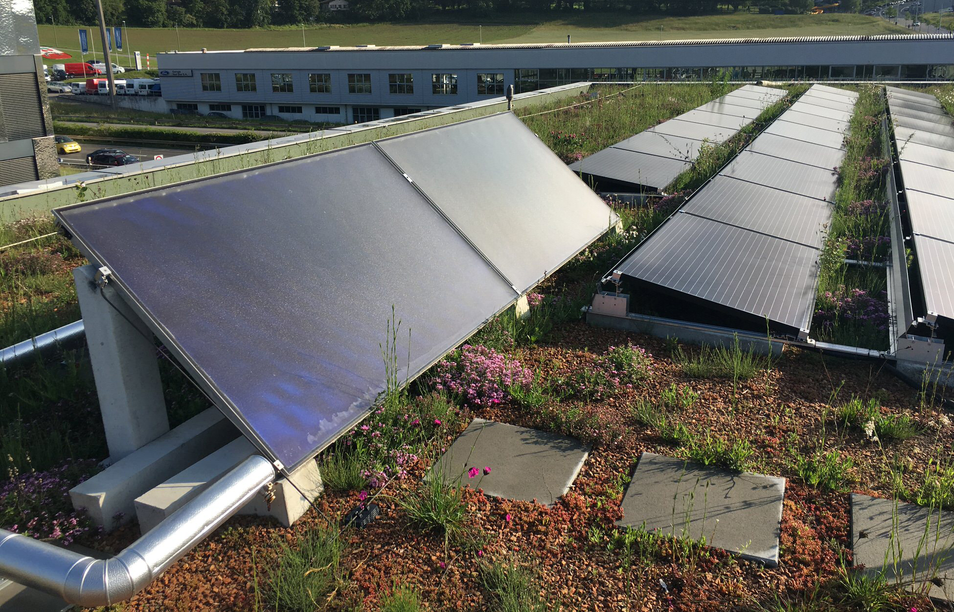 Végétalisation toiture