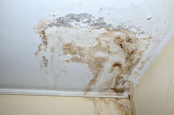 Tache d'humidité au plafond causée par une fuite de toiture